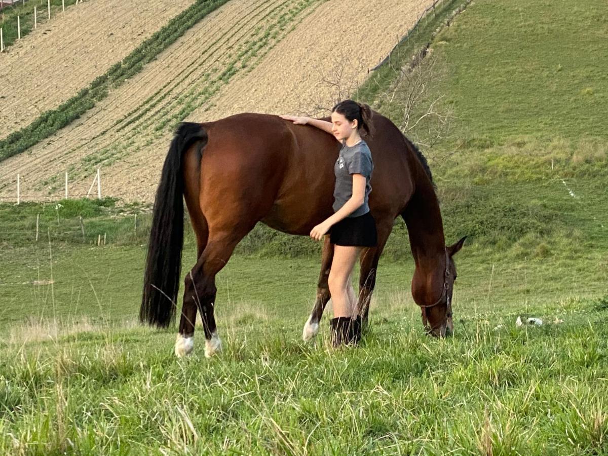 Tenuta Lisetta Monterotondo  Zewnętrze zdjęcie