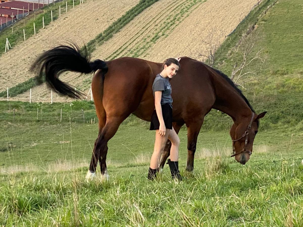 Tenuta Lisetta Monterotondo  Zewnętrze zdjęcie