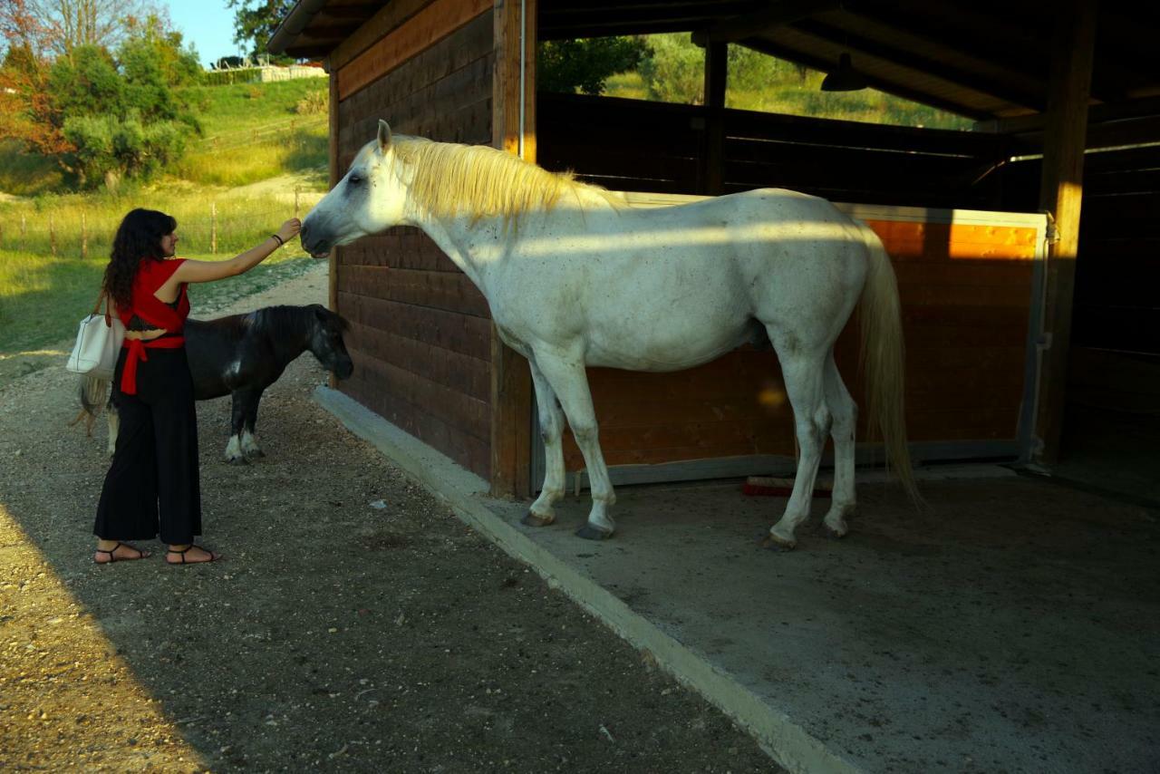 Tenuta Lisetta Monterotondo  Zewnętrze zdjęcie